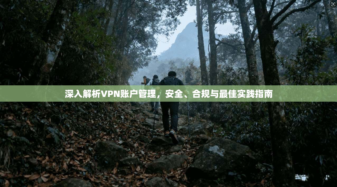 深入解析VPN账户管理，安全、合规与最佳实践指南