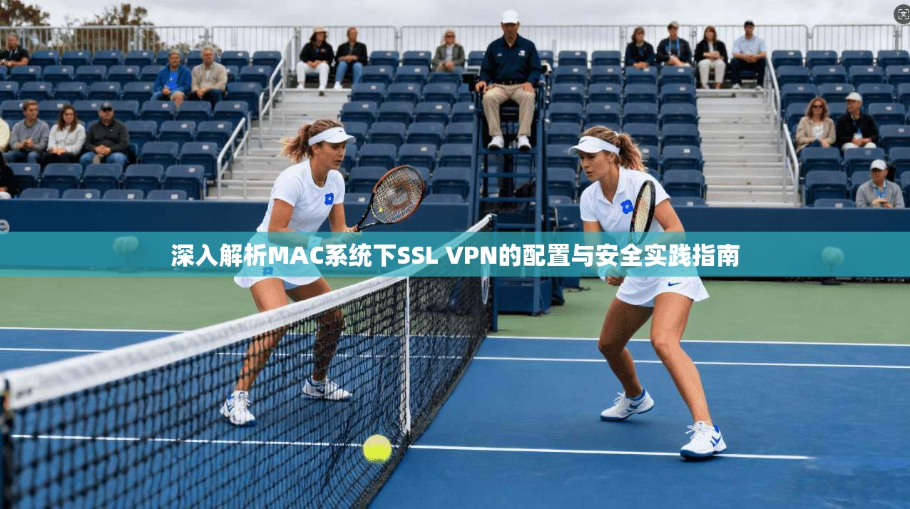 深入解析MAC系统下SSL VPN的配置与安全实践指南