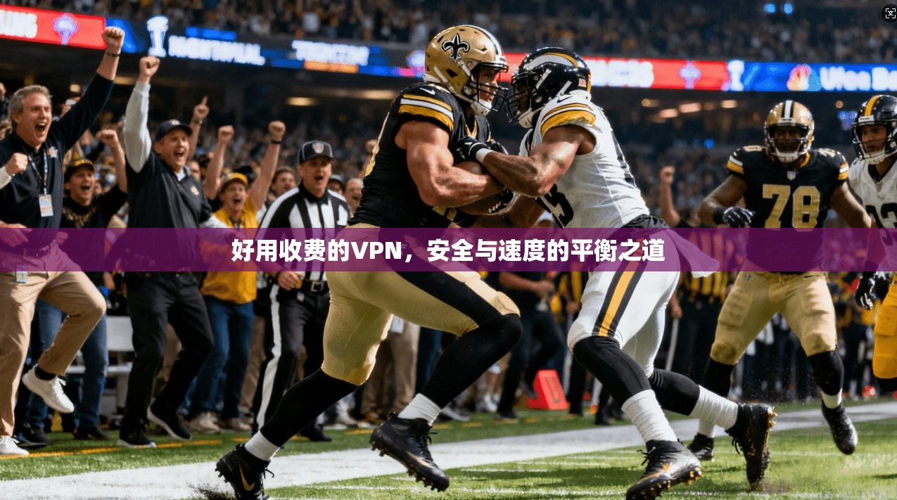 好用收费的VPN，安全与速度的平衡之道