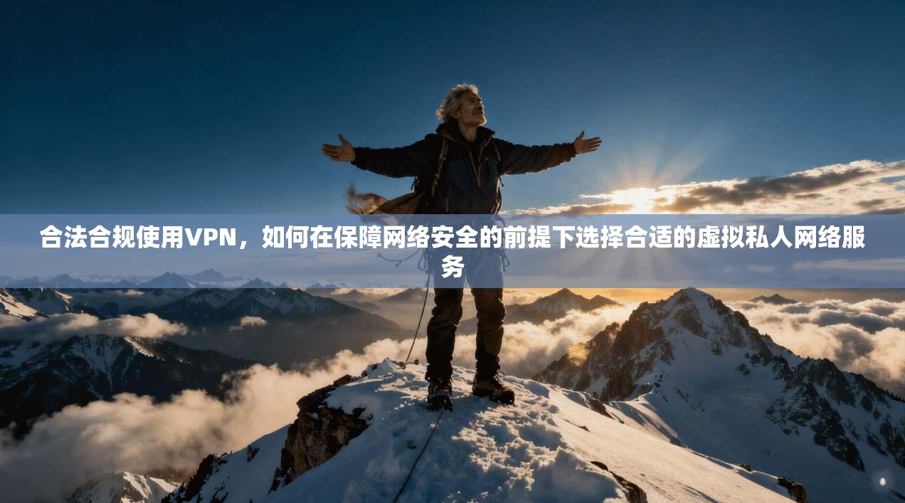 合法合规使用VPN，如何在保障网络安全的前提下选择合适的虚拟私人网络服务