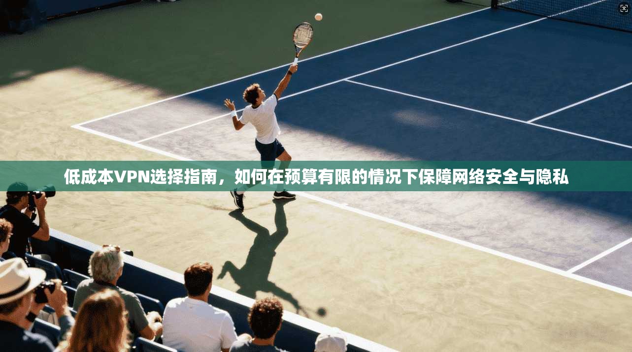 低成本VPN选择指南，如何在预算有限的情况下保障网络安全与隐私