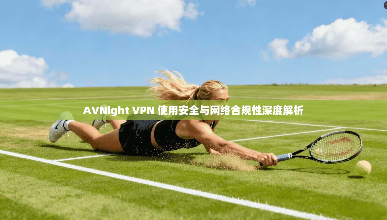 AVNight VPN 使用安全与网络合规性深度解析