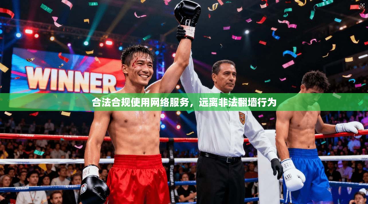 合法合规使用网络服务，远离非法翻墙行为