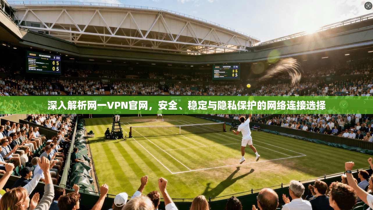 深入解析网一VPN官网，安全、稳定与隐私保护的网络连接选择