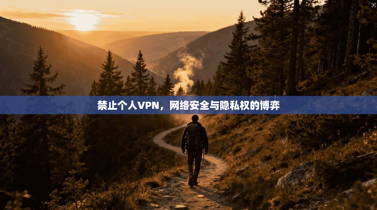 禁止个人VPN，网络安全与隐私权的博弈