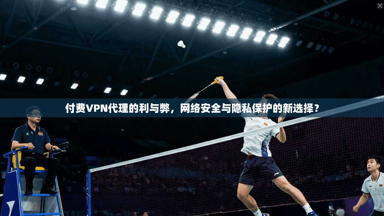 付费VPN代理的利与弊,网络安全与隐私保护的新选择? 付费VPN代理的利与弊,网络安全与隐私保护的新选择?