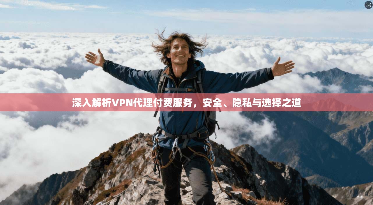 深入解析VPN代理付费服务，安全、隐私与选择之道