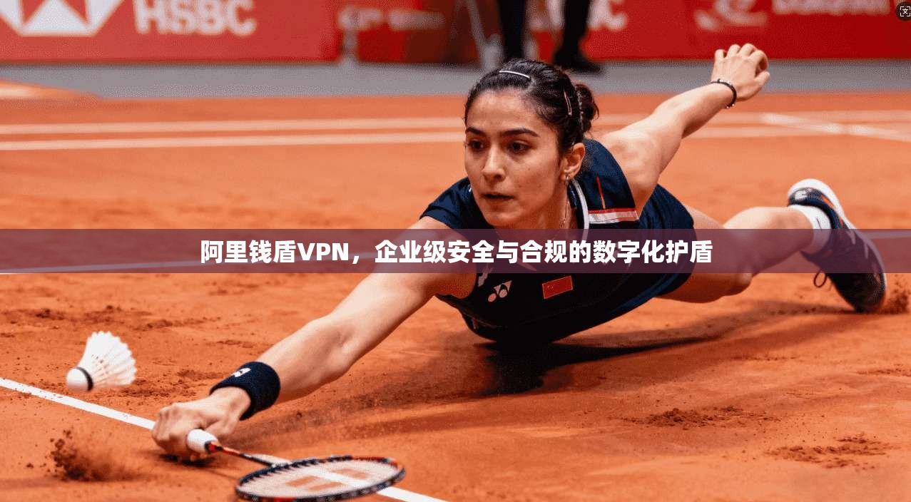 阿里钱盾VPN，企业级安全与合规的数字化护盾