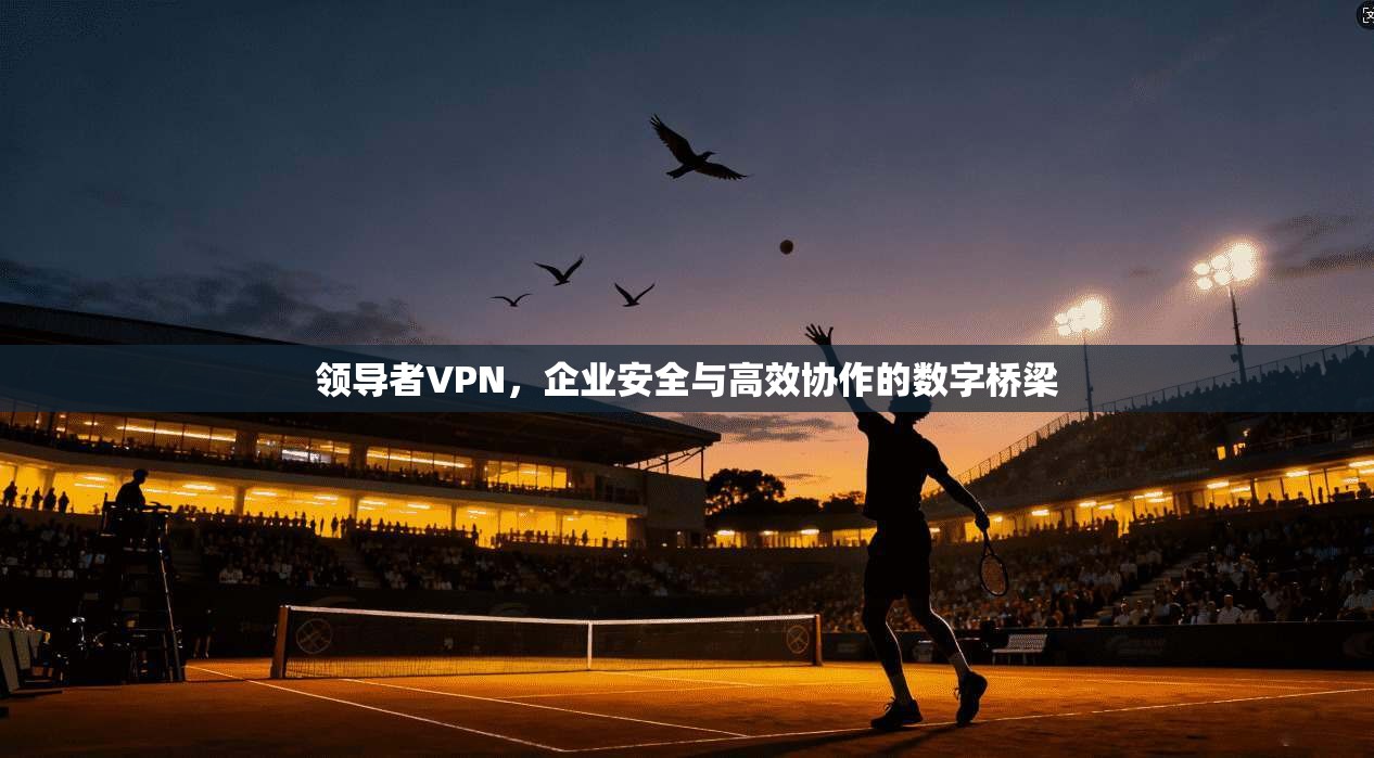 领导者VPN，企业安全与高效协作的数字桥梁