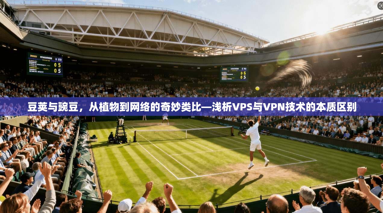 豆荚与豌豆，从植物到网络的奇妙类比—浅析VPS与VPN技术的本质区别