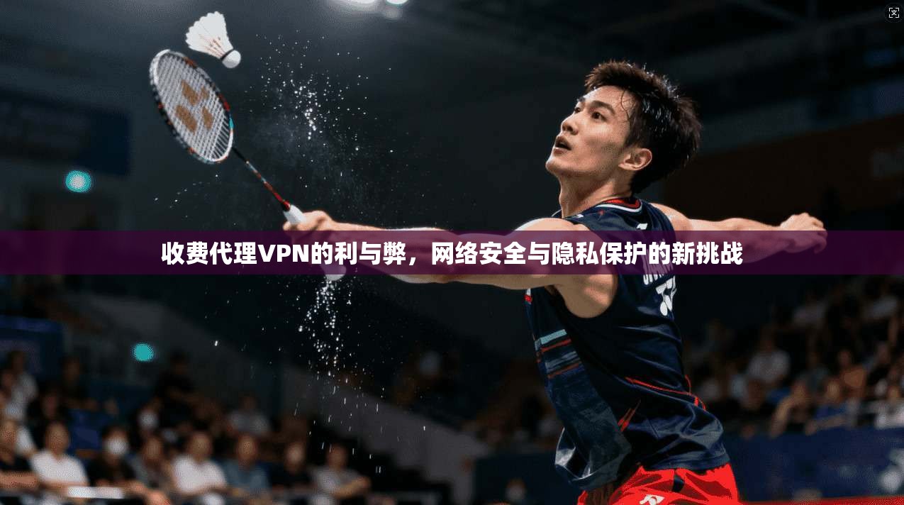 收费代理VPN的利与弊，网络安全与隐私保护的新挑战