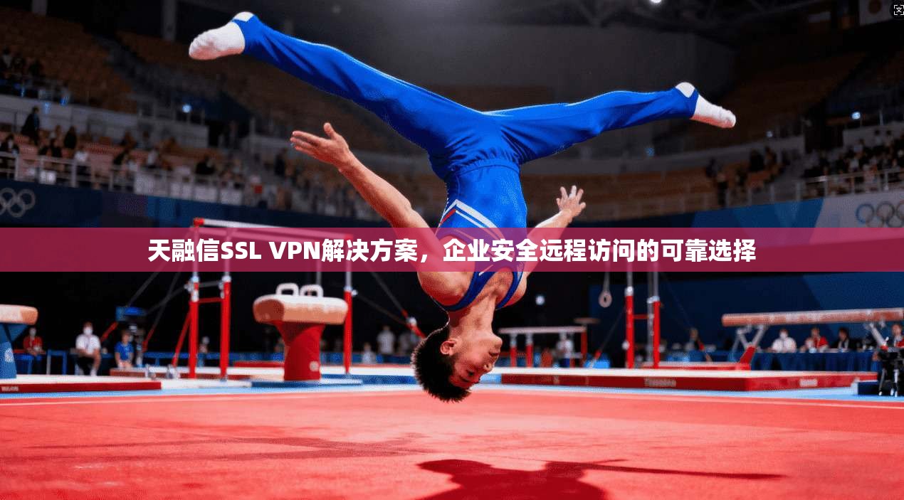 天融信SSL VPN解决方案，企业安全远程访问的可靠选择