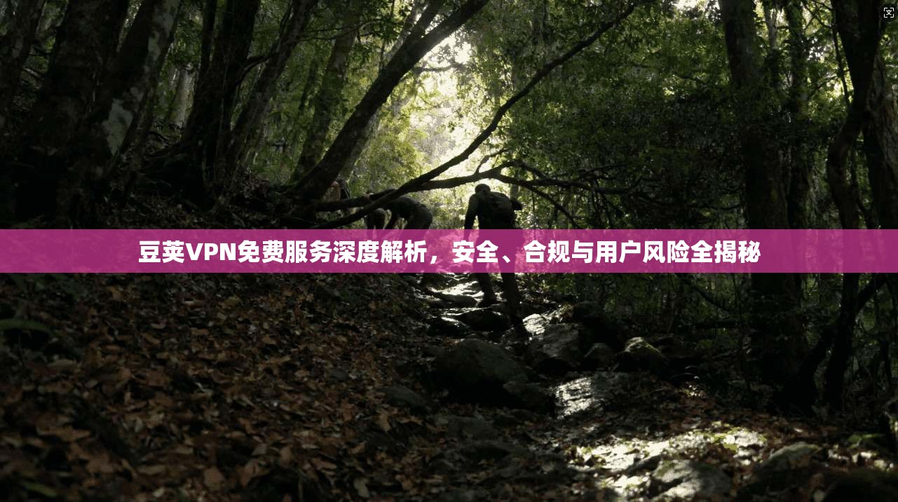 豆荚VPN免费服务深度解析，安全、合规与用户风险全揭秘