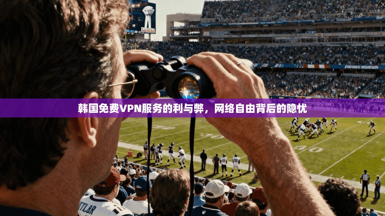 韩国免费VPN服务的利与弊，网络自由背后的隐忧