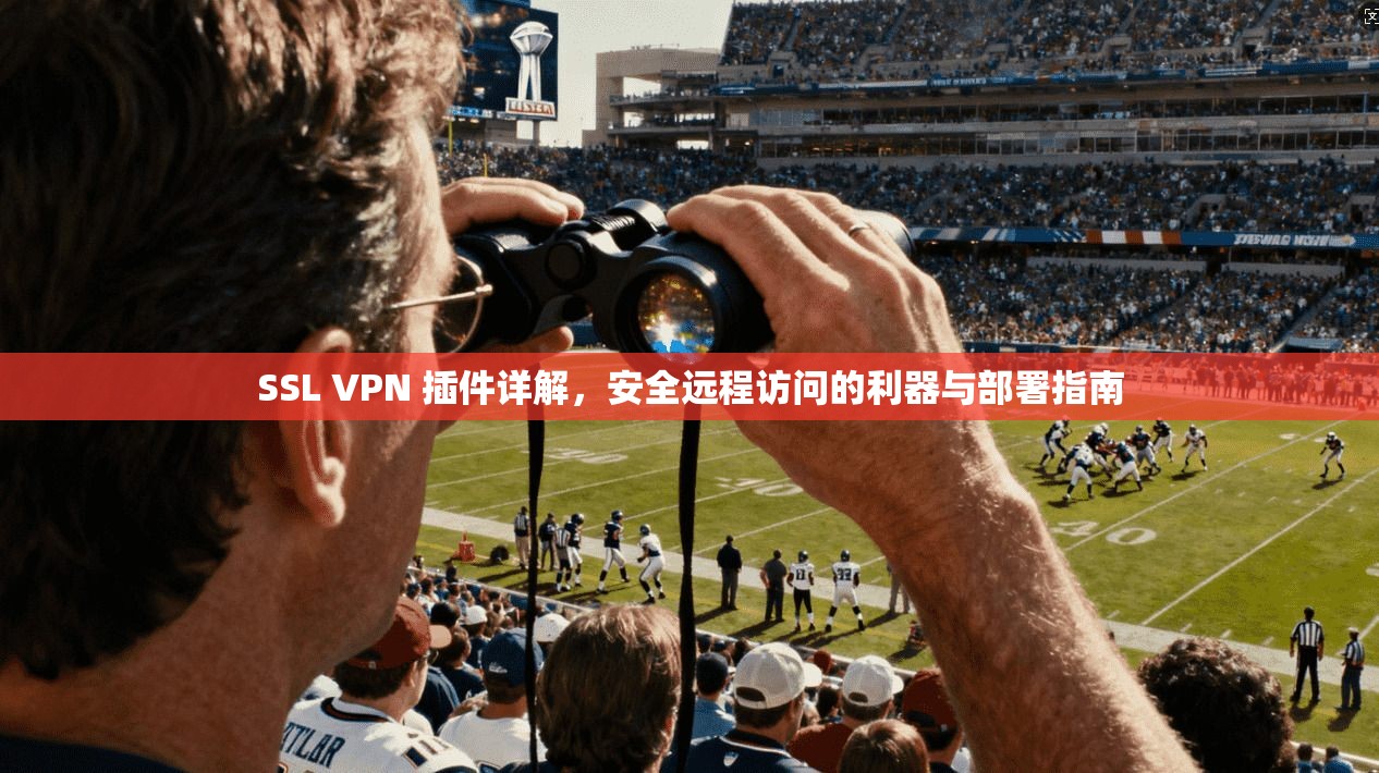 SSL VPN 插件详解,安全远程访问的利器与部署指南 SSL VPN 插件详解,安全远程访问的利器与部署指南