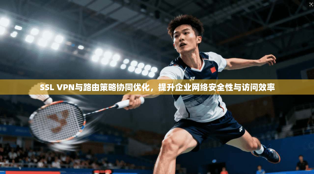 SSL VPN与路由策略协同优化，提升企业网络安全性与访问效率