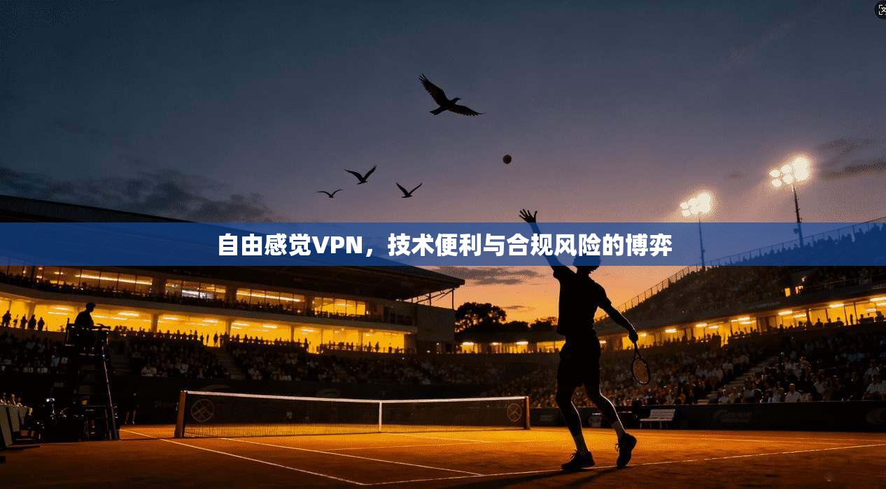 自由感觉VPN，技术便利与合规风险的博弈
