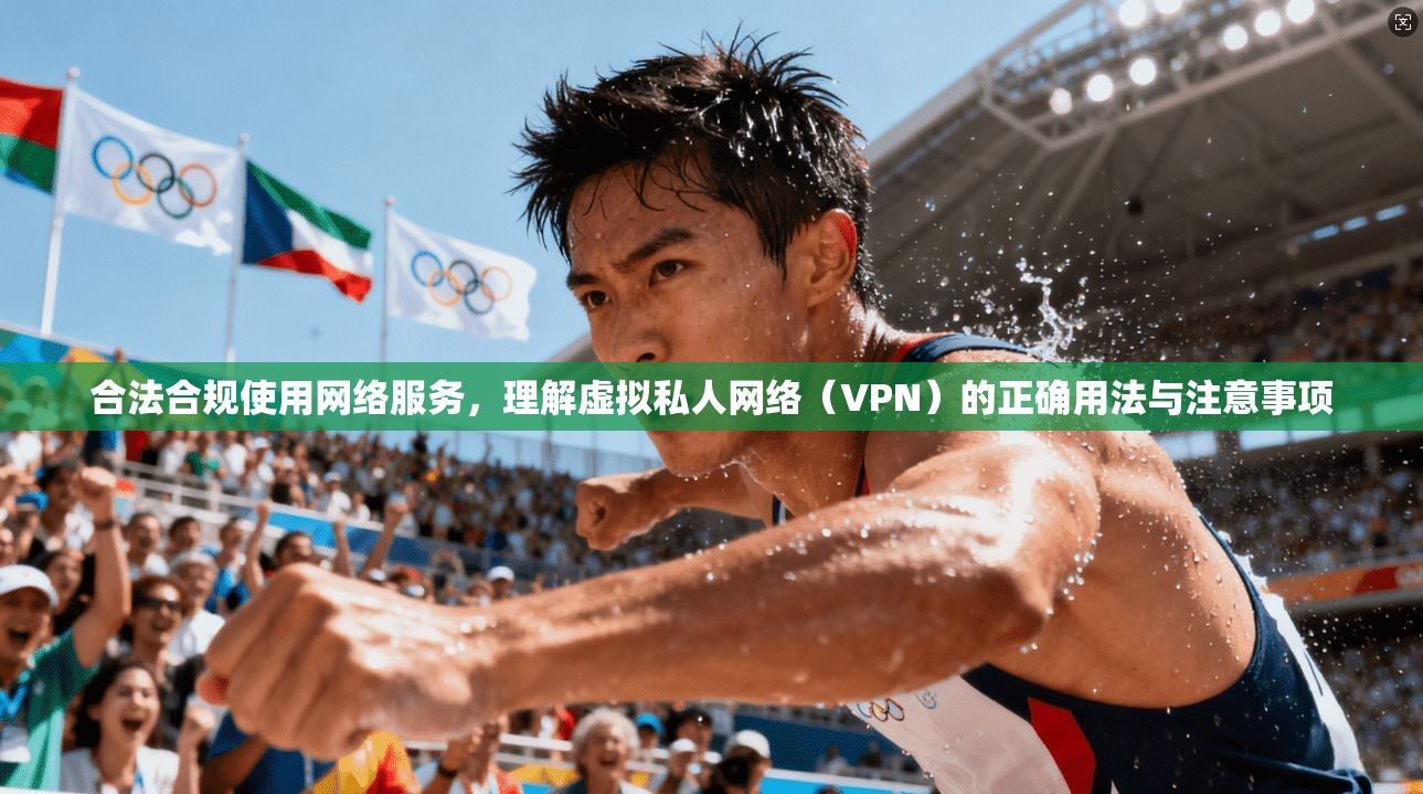 合法合规使用网络服务，理解虚拟私人网络（VPN）的正确用法与注意事项