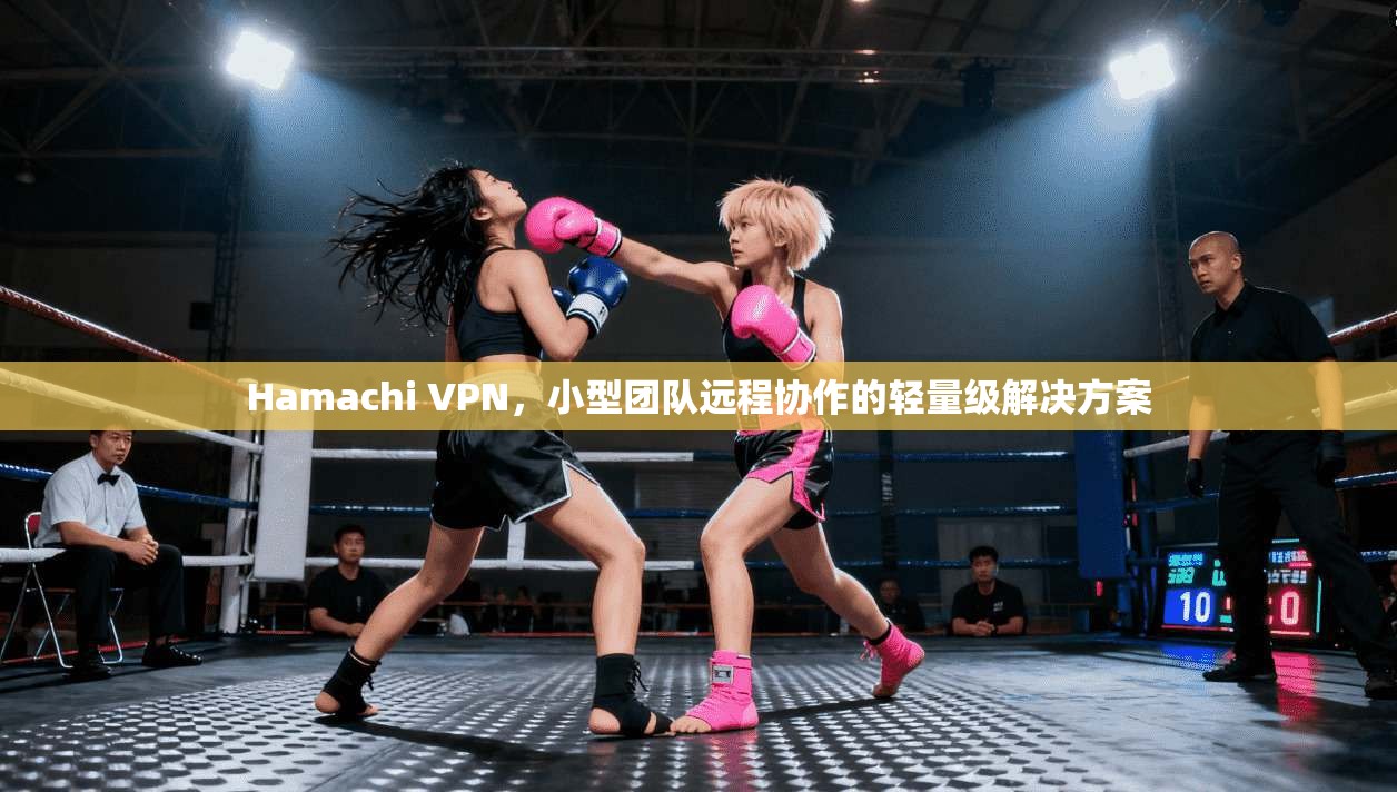 Hamachi VPN，小型团队远程协作的轻量级解决方案