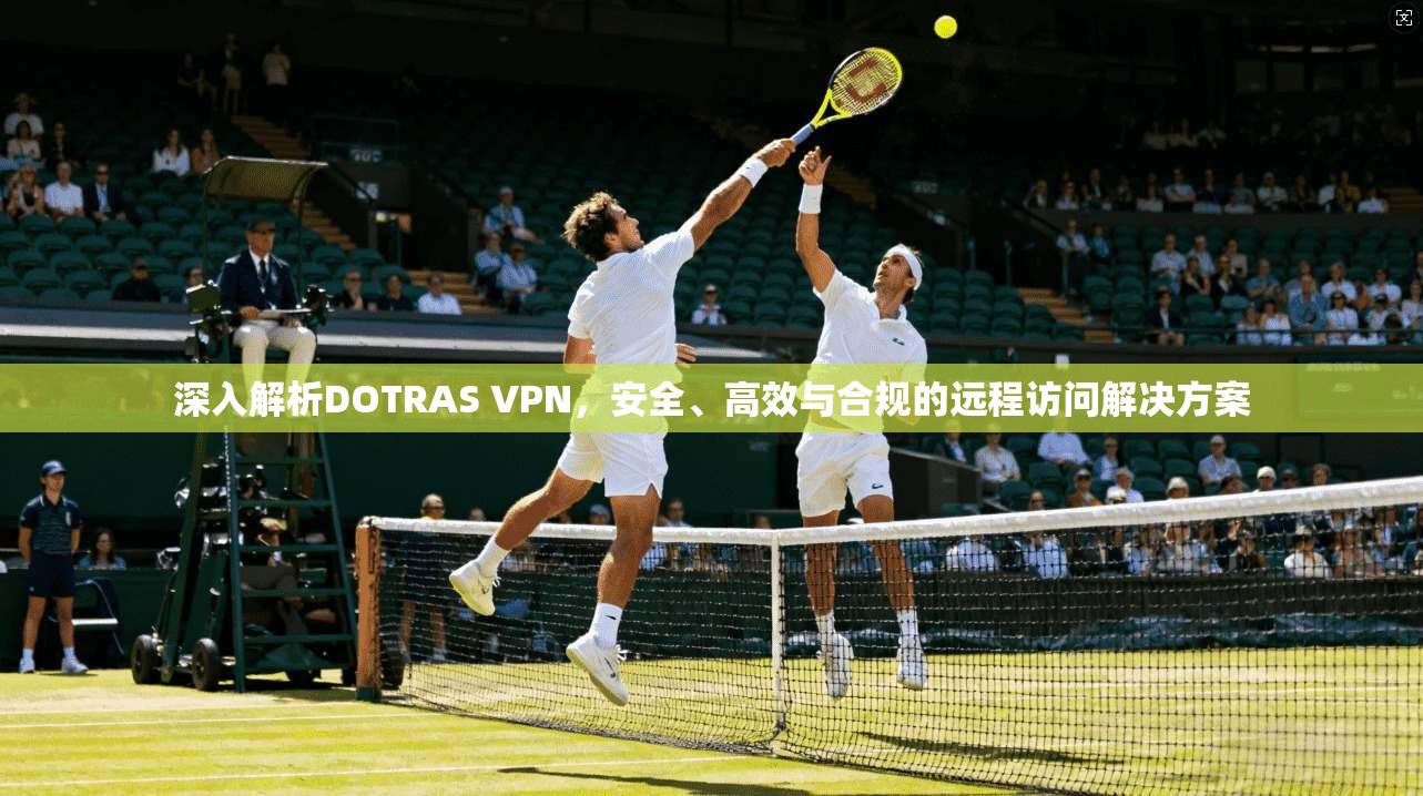 深入解析DOTRAS VPN，安全、高效与合规的远程访问解决方案