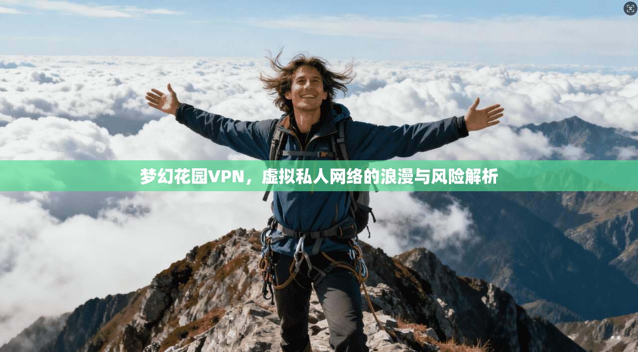 梦幻花园VPN，虚拟私人网络的浪漫与风险解析
