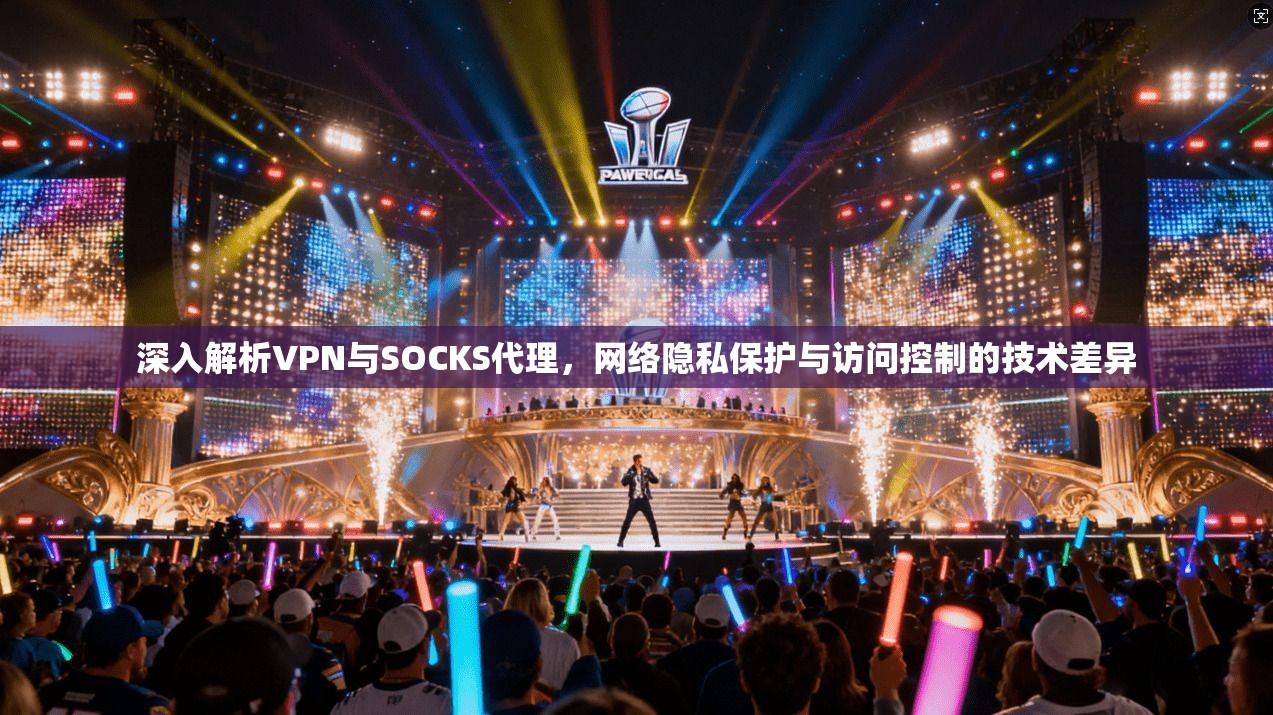 深入解析VPN与SOCKS代理，网络隐私保护与访问控制的技术差异