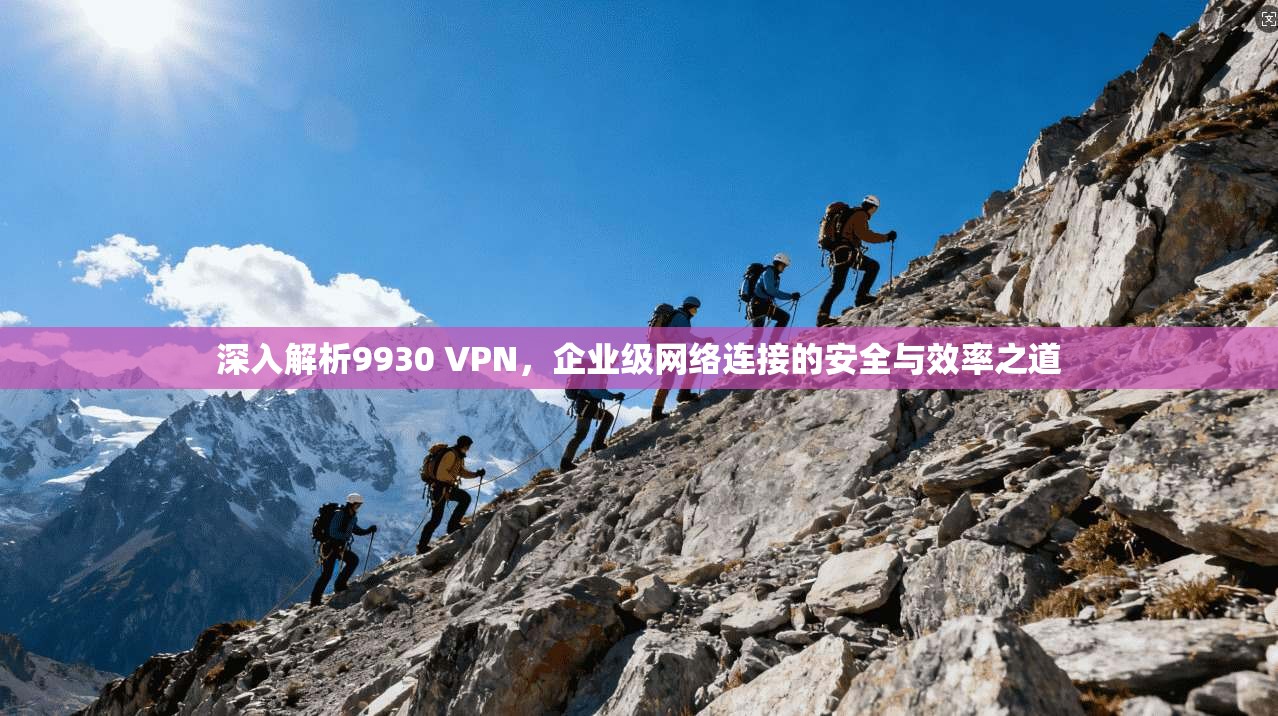 深入解析9930 VPN，企业级网络连接的安全与效率之道