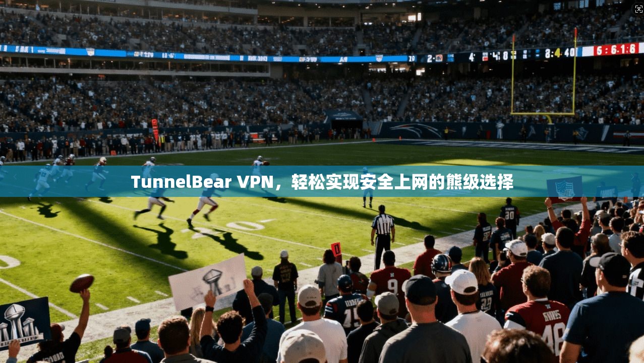 TunnelBear VPN，轻松实现安全上网的熊级选择