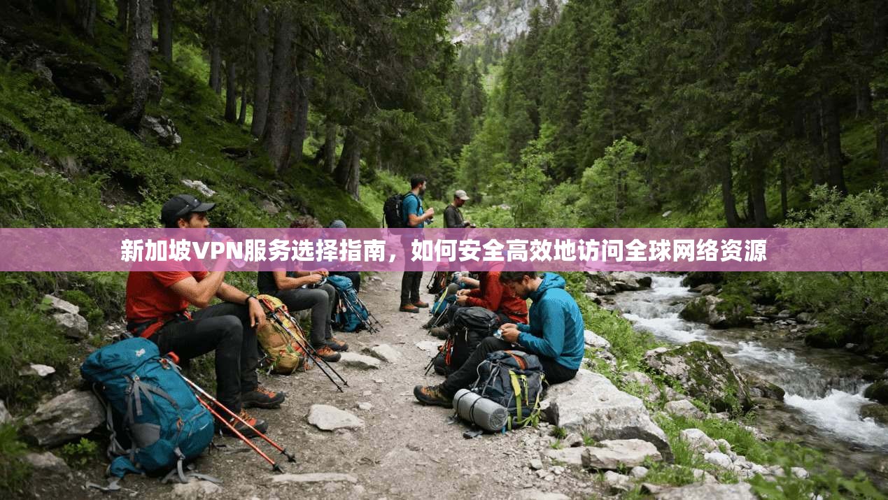 新加坡VPN服务选择指南，如何安全高效地访问全球网络资源