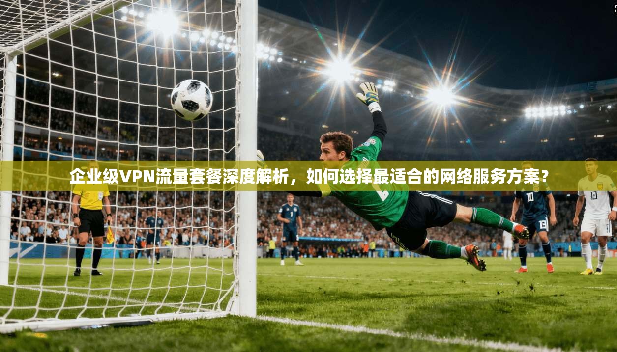 企业级VPN流量套餐深度解析，如何选择最适合的网络服务方案？