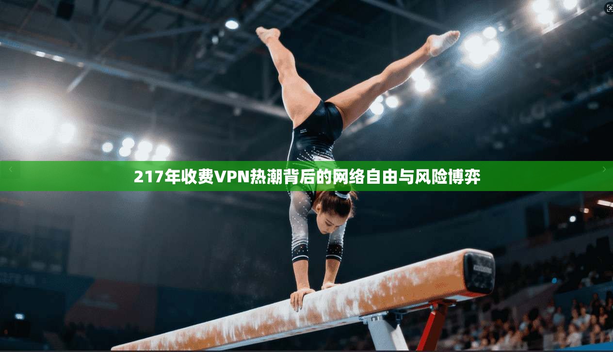 217年收费VPN热潮背后的网络自由与风险博弈