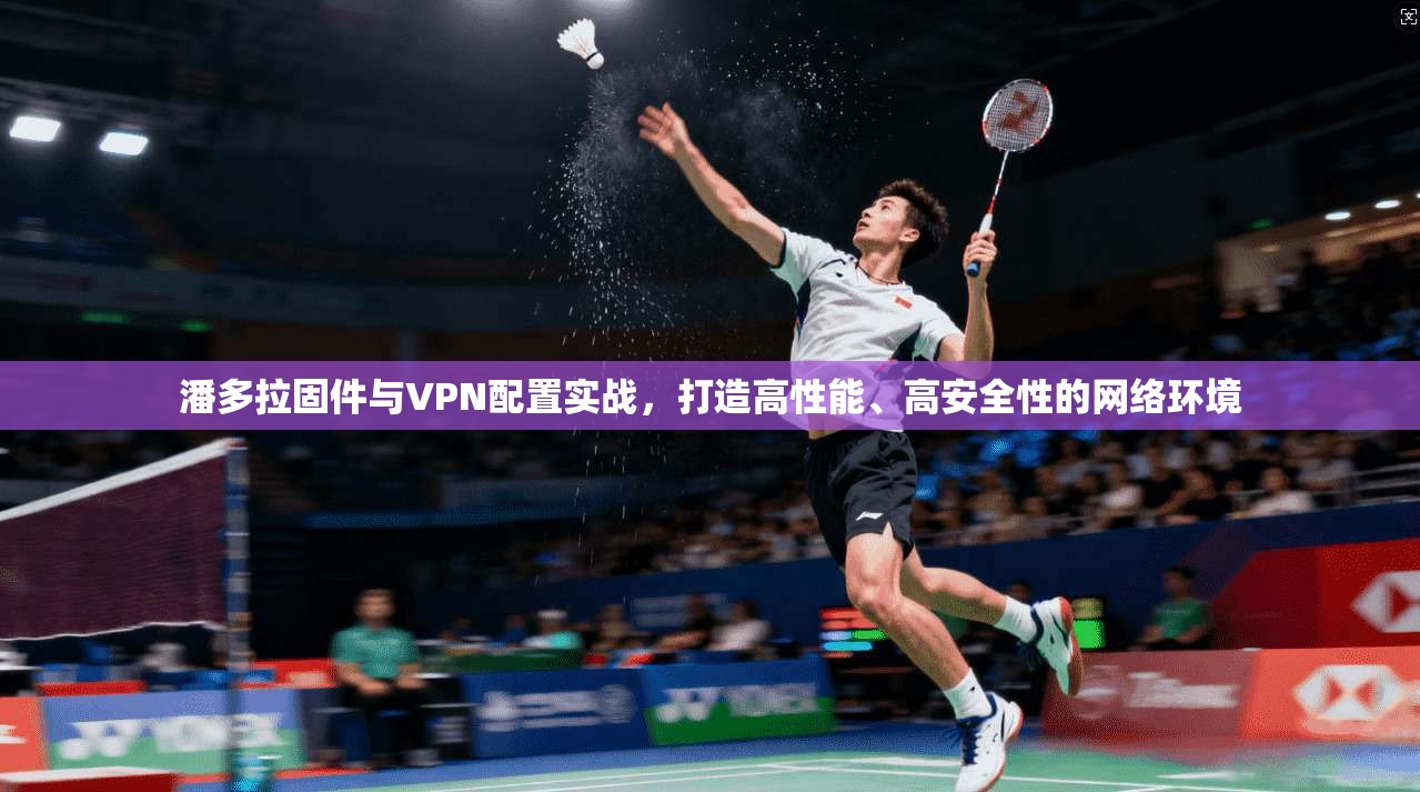 潘多拉固件与VPN配置实战，打造高性能、高安全性的网络环境
