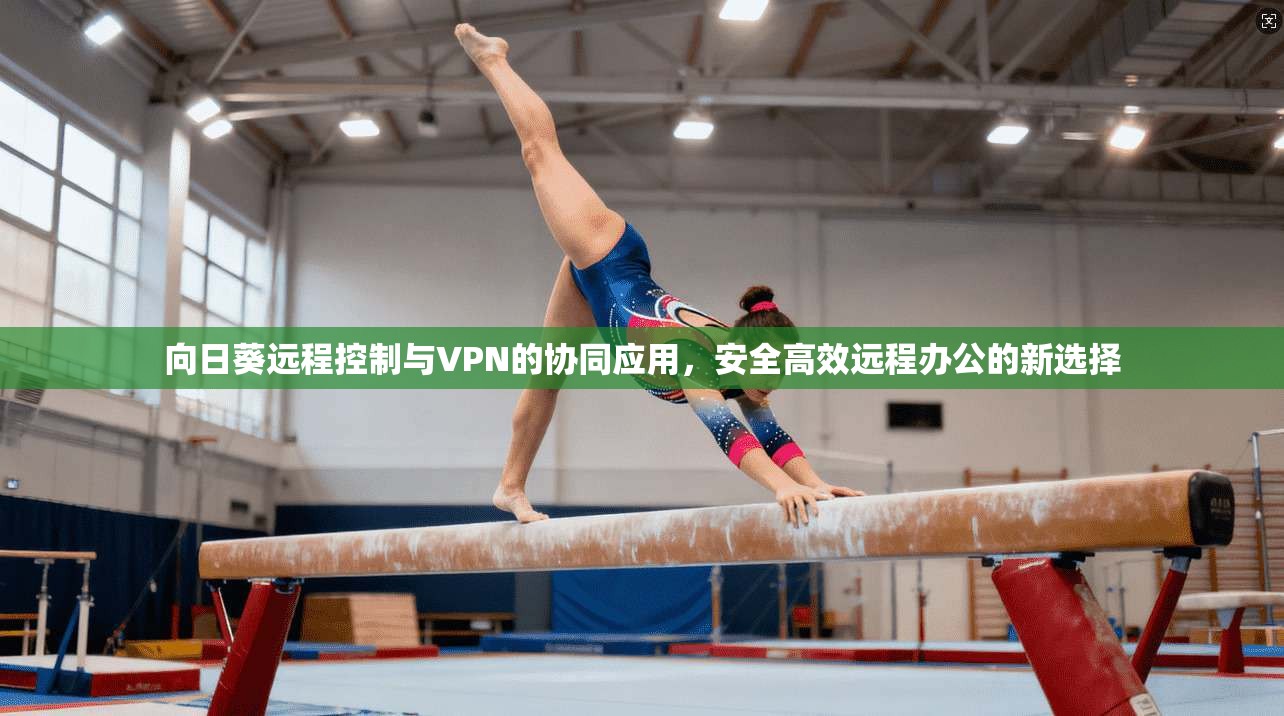 向日葵远程控制与VPN的协同应用，安全高效远程办公的新选择