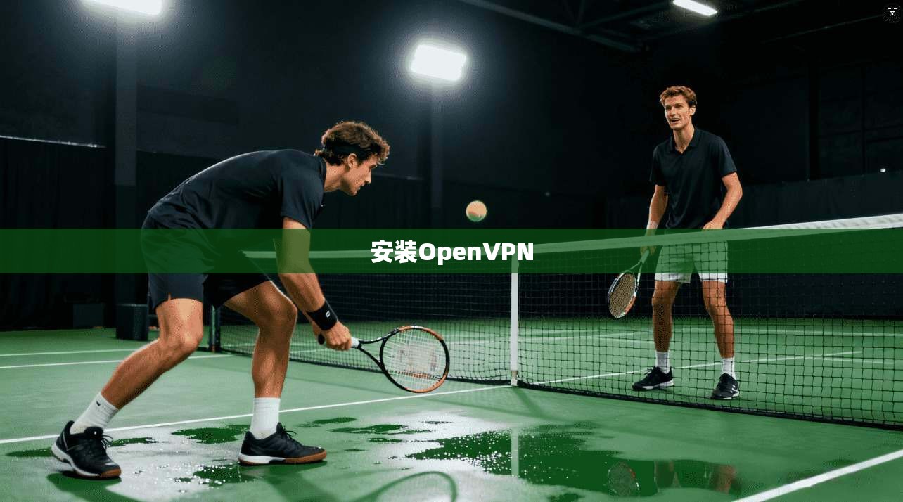 安装OpenVPN