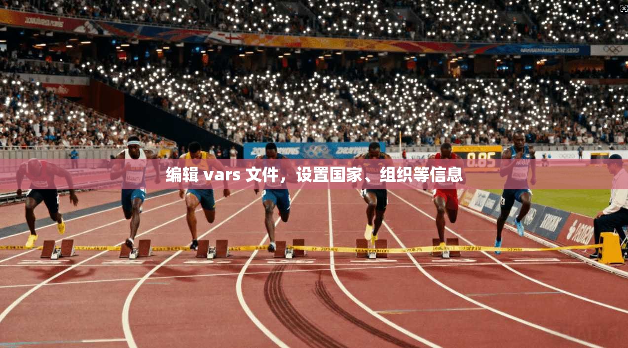 编辑 vars 文件，设置国家、组织等信息