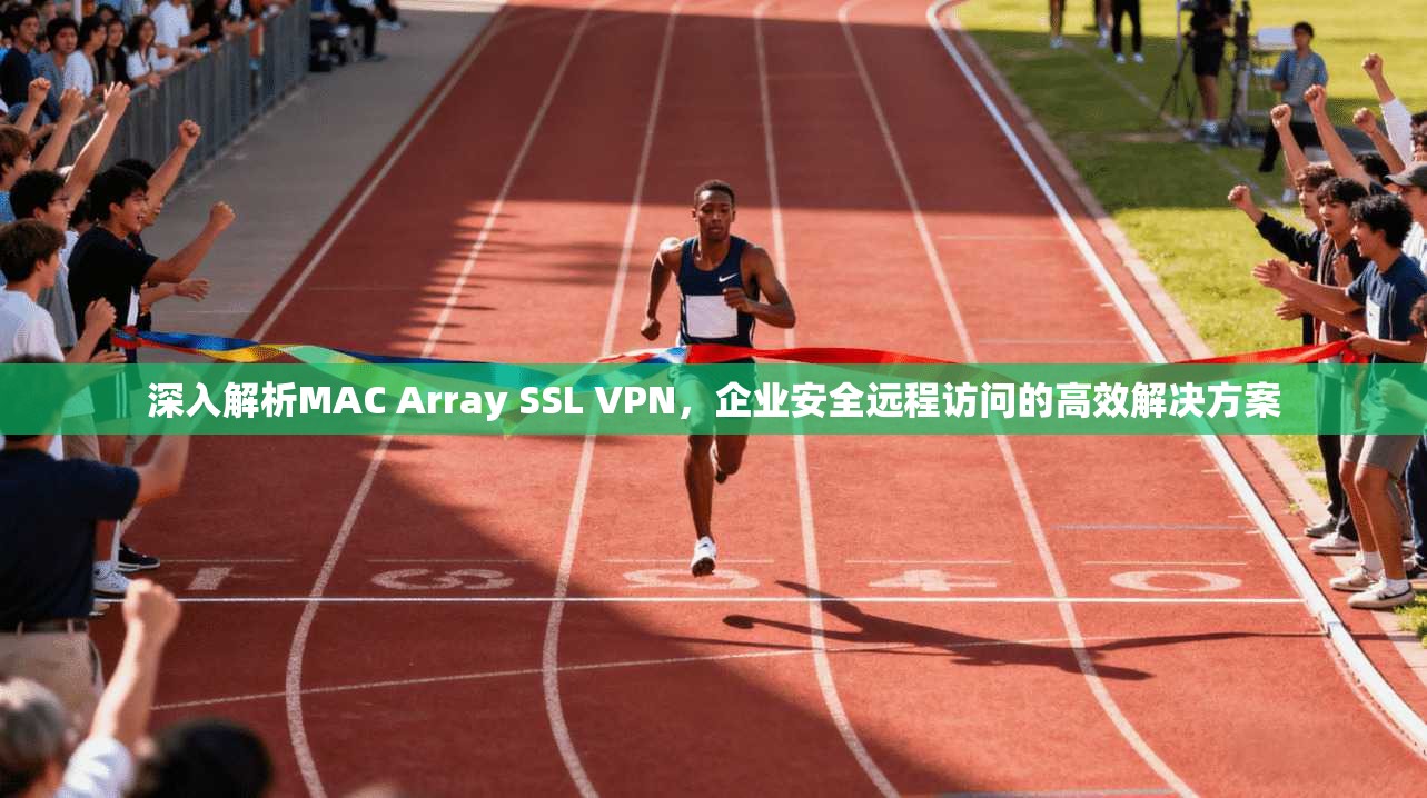 深入解析MAC Array SSL VPN，企业安全远程访问的高效解决方案