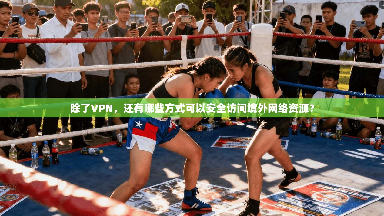 除了VPN，还有哪些方式可以安全访问境外网络资源？