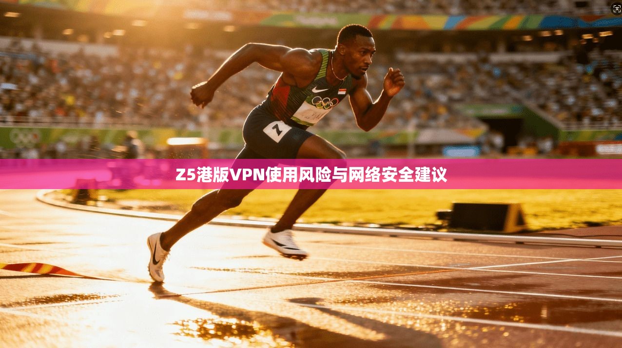 Z5港版VPN使用风险与网络安全建议