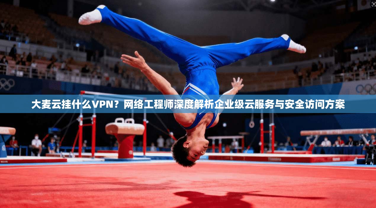 大麦云挂什么VPN？网络工程师深度解析企业级云服务与安全访问方案