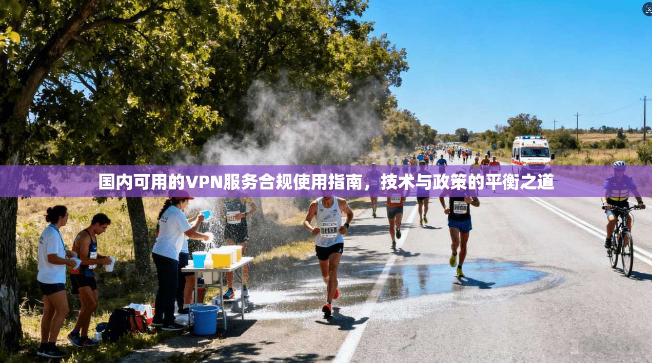 国内可用的VPN服务合规使用指南，技术与政策的平衡之道