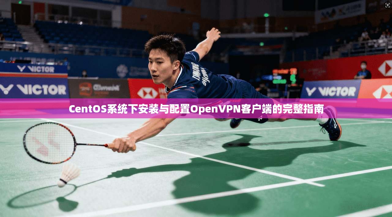 CentOS系统下安装与配置OpenVPN客户端的完整指南