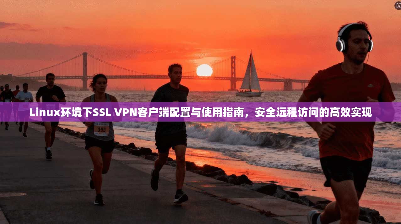 Linux环境下SSL VPN客户端配置与使用指南，安全远程访问的高效实现