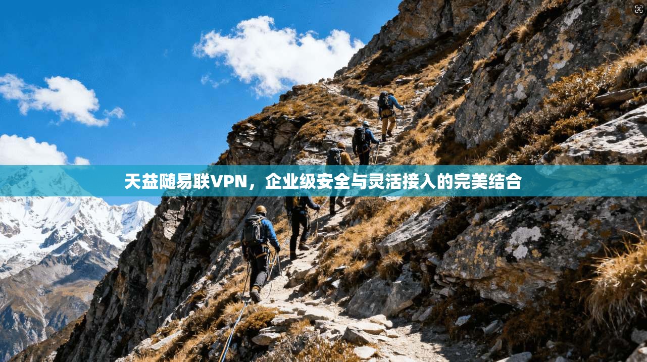 天益随易联VPN，企业级安全与灵活接入的完美结合