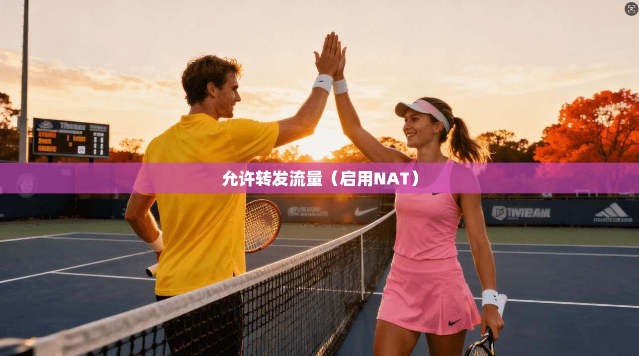 允许转发流量（启用NAT）