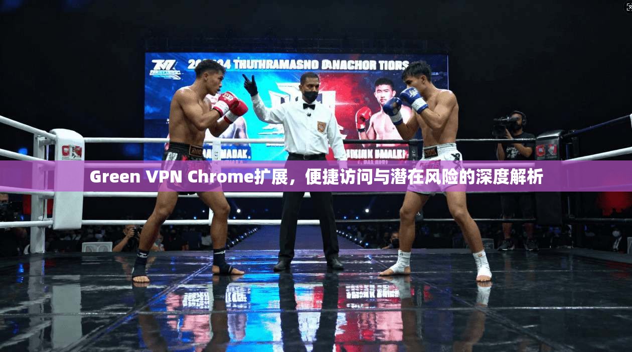 Green VPN Chrome扩展，便捷访问与潜在风险的深度解析