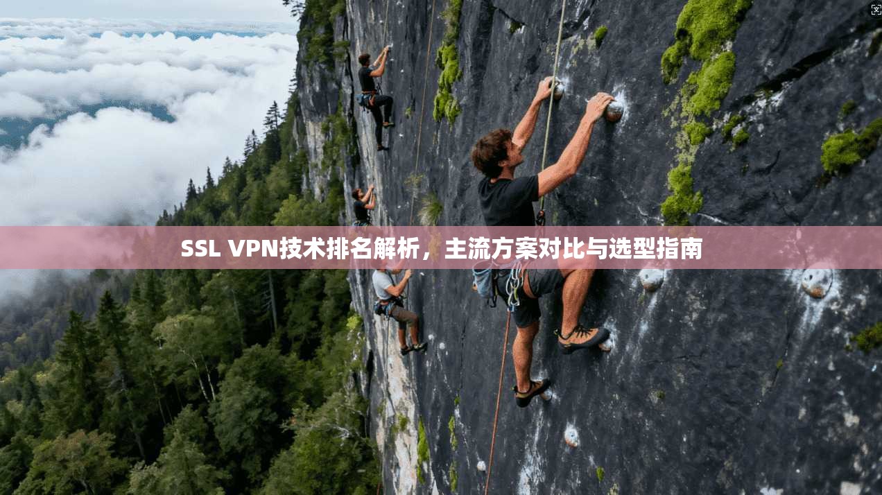 SSL VPN技术排名解析，主流方案对比与选型指南