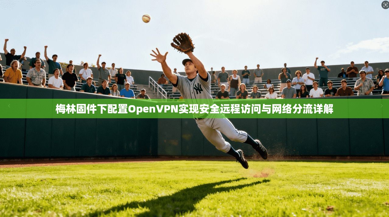 梅林固件下配置OpenVPN实现安全远程访问与网络分流详解
