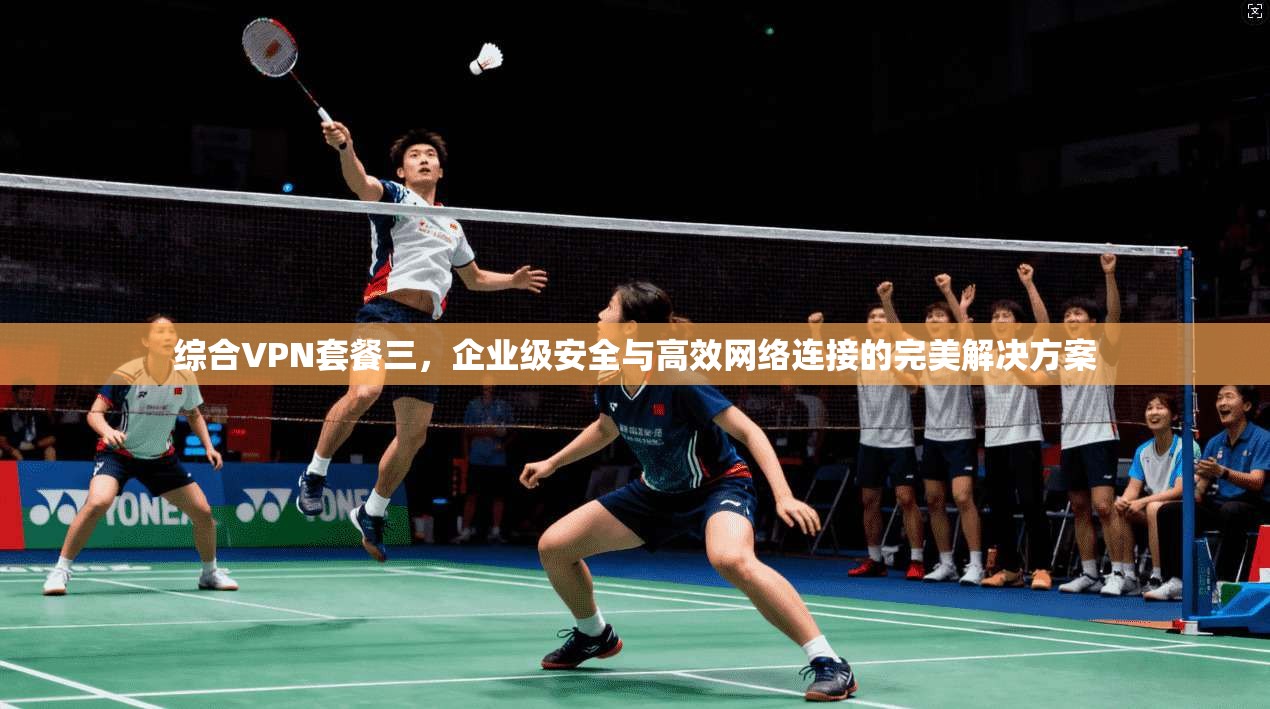 综合VPN套餐三，企业级安全与高效网络连接的完美解决方案