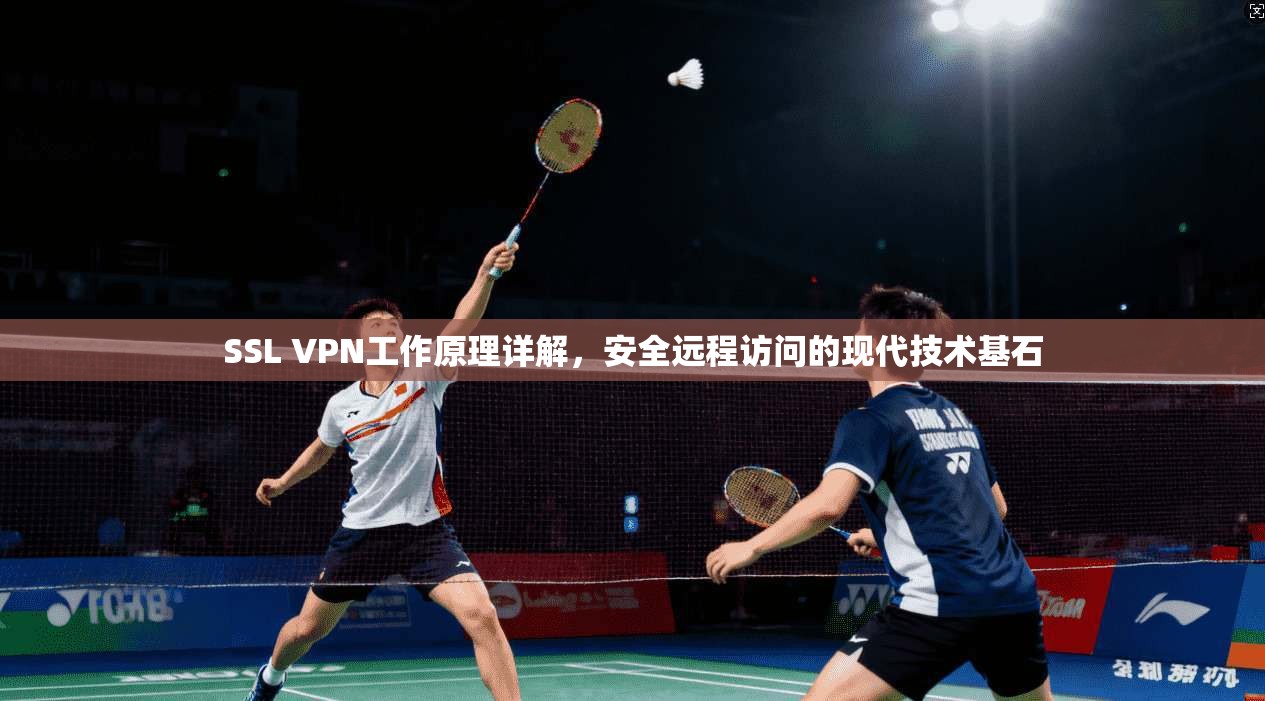 SSL VPN工作原理详解，安全远程访问的现代技术基石