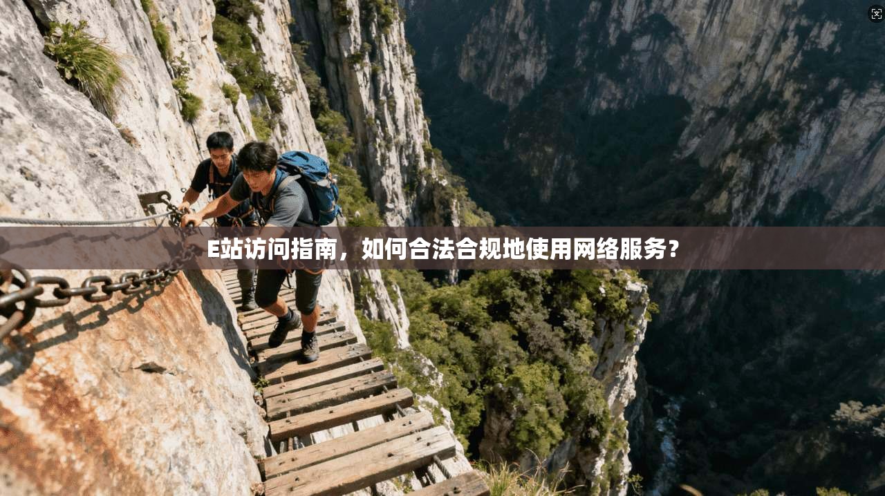 E站访问指南，如何合法合规地使用网络服务？